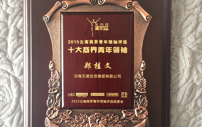 在“互聯(lián)網(wǎng)大時代”的背景下，天度作為本土很大和很有名的互聯(lián)網(wǎng)服務(wù)企業(yè)，為近萬家傳統(tǒng)企業(yè)轉(zhuǎn)型互聯(lián)網(wǎng)+提供了服務(wù)和幫助，獲此獎項后，我們將再接再厲，創(chuàng)造更高的社會價值